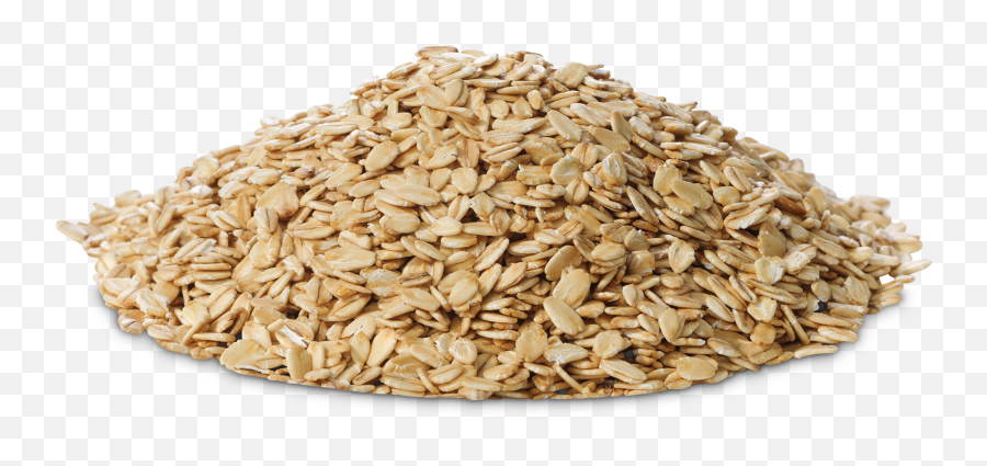 Oat Png Transparent Oatpng Images Pluspng - Oatmeal Png Transparent,Wheat Transparent Background