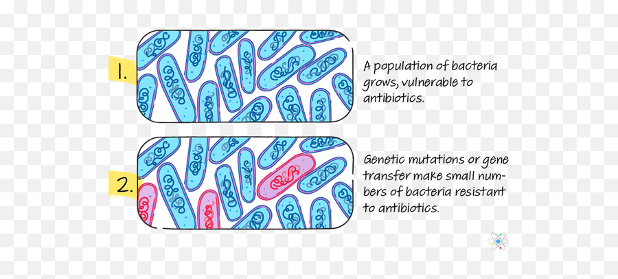 Antibiotic Resistance Definition Causes U0026 Examples Sciencing - Illustration Png,Bacteria Transparent Background