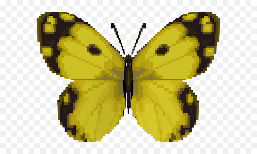 Wii - Animal Crossing City Folk Yellow Butterfly The Animal Crossing Yellow Butterfly Png,Yellow Butterfly Png