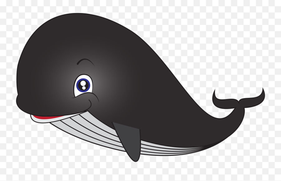 Download Sperm Whale Cartoon Clip Art - Whale Clipart Png,Sperm Png