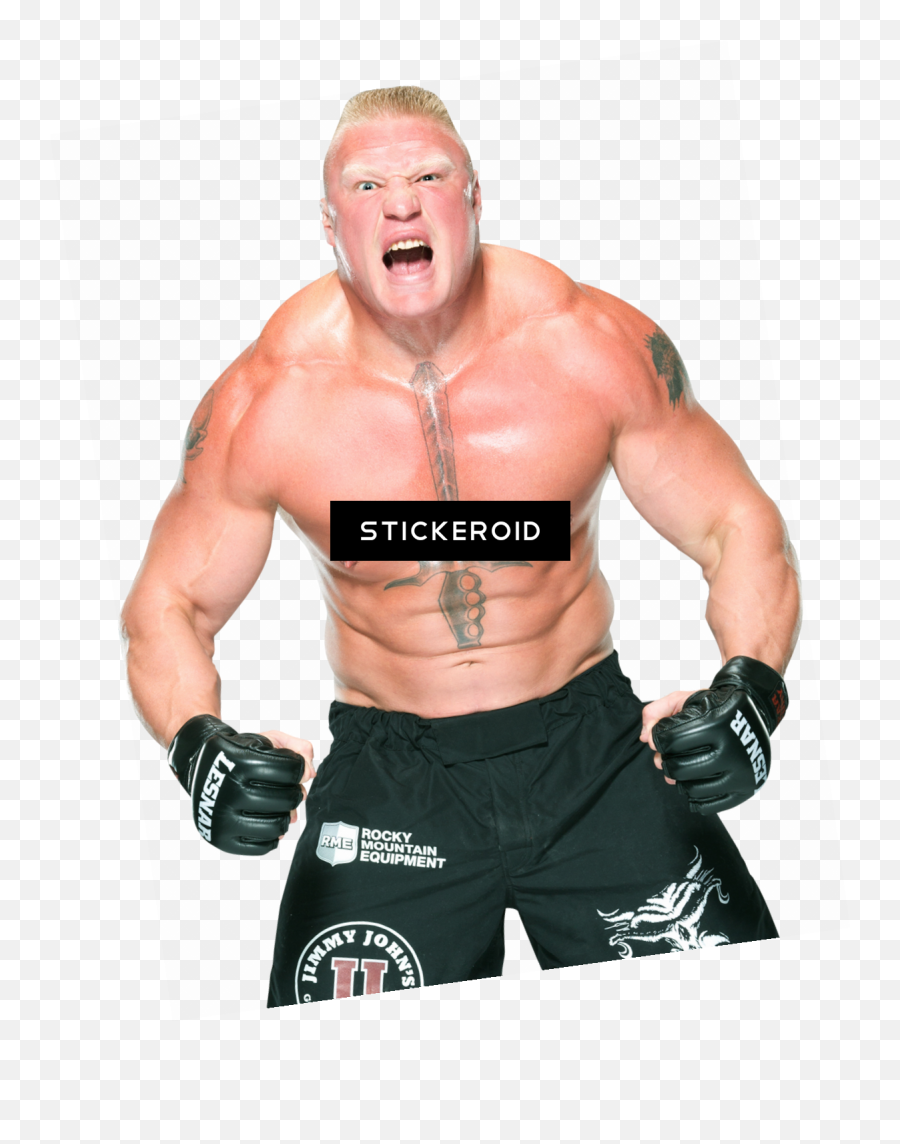 Download Brock Lesnar Wwe Png Image - Brock Lesnar Png,Brock Lesnar Transparent
