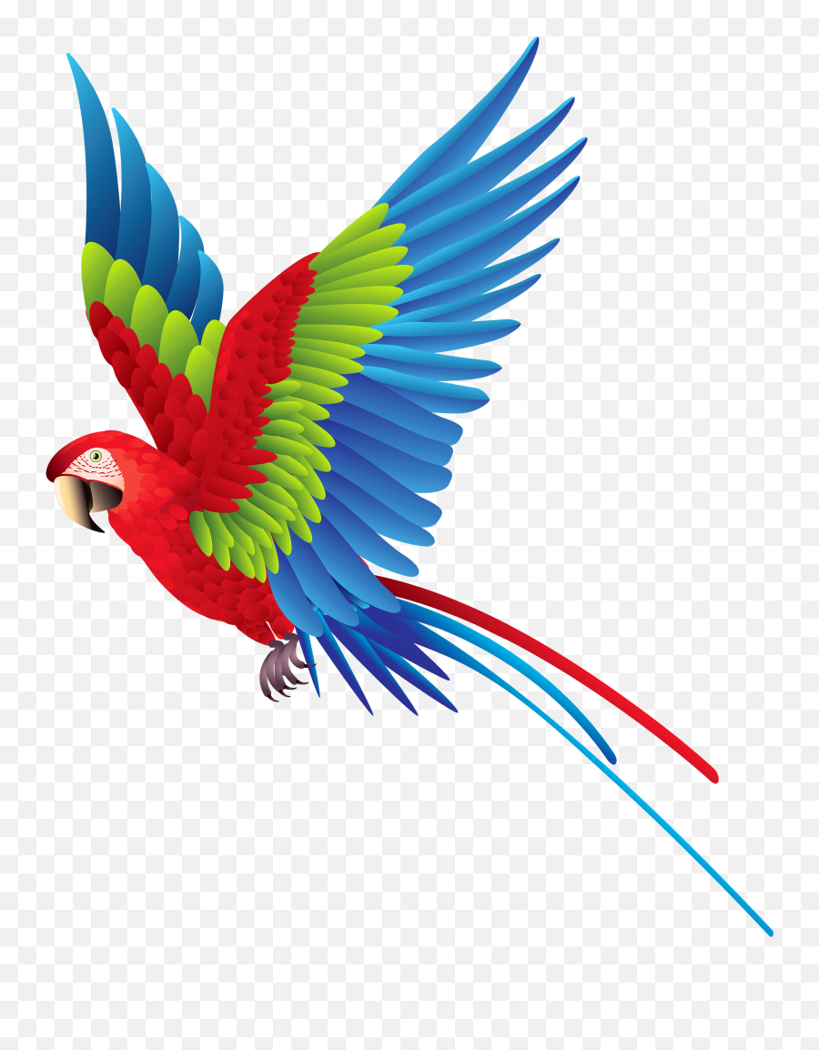 Sun Banner Free Download Png Files - Colorful Flying Birds Png,Rainforest Png