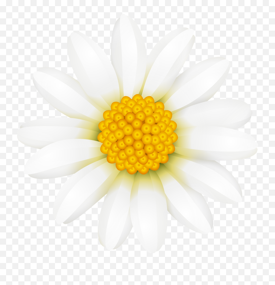 Download Daisy Flower Crown Transparent - Full Size Png,Flower Crown Transparent