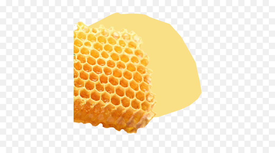 Homepage - Superbee Honeycomb Png,Honey Comb Png