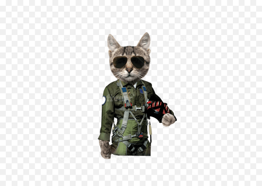 Do Background Remove And Convert Image To Png Transparent - Mountain T Shirt Cat,Raccoon Transparent Background