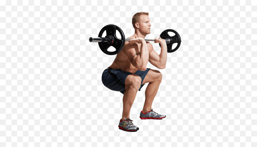 Download How To Do Barbell Hack Squats Png Squat