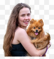 Welcome - Amazing Puppies Home Home German Spitz Klein Png,Pomeranian Png
