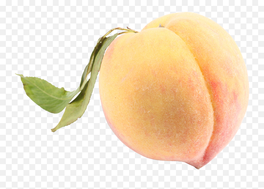 Peach Transparent Png File - White Peach Transparent Background,Peach Transparent Background