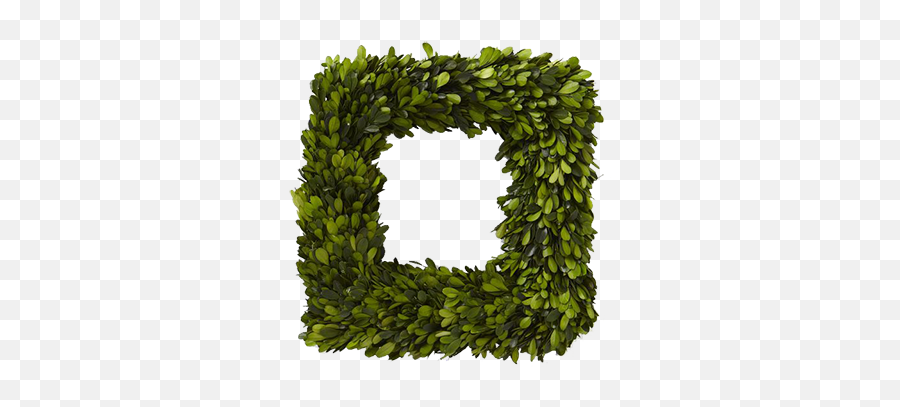 Boxwood Square Wreath - Transparent Square Wreath Png,Boxwood Png