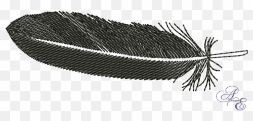 Raven Feather Drawing - PNG Stilhoute