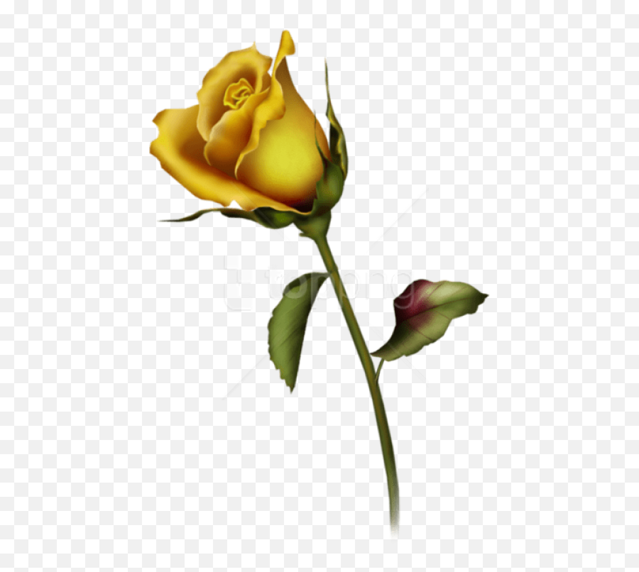 Free Png Yellow Rose Bud Art Images - Yellow Rose Tattoo Designs,Yellow Roses Png