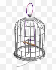 Bird Cage Png - Bird Cage 1432369 Vippng Decorative