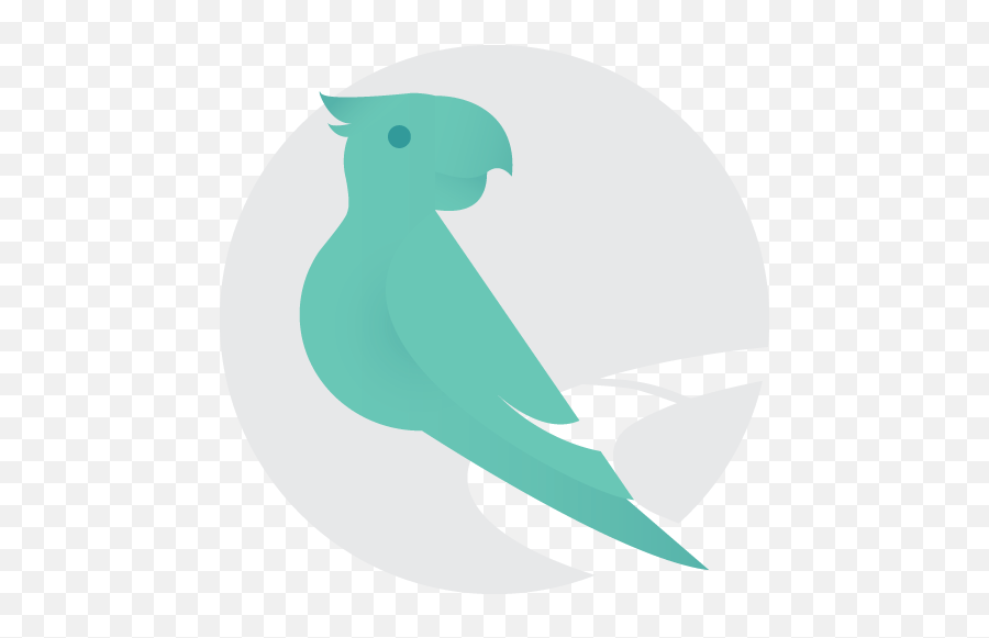 Branding - Razor Edge Media Ltd Parrot Png,Branding Icon