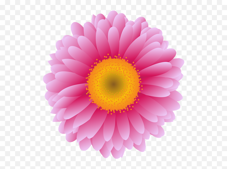 Download Free Pink Flower Photography - Girly Png,Daisy Icon