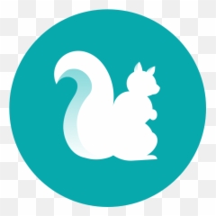 Workshops - Twitter Icon For Email Signature Clipart Full Tree Squirrels png