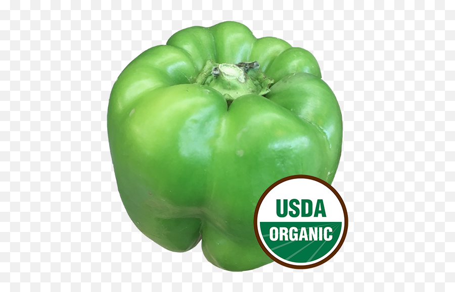 Organic - Usda Organic Png,Green Pepper Png