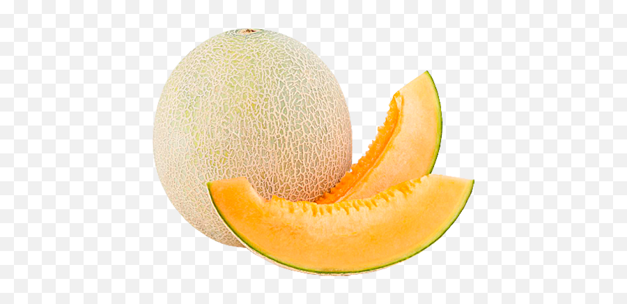 Cantaloupe Tpa - Melon Fruit Png,Cantaloupe Png