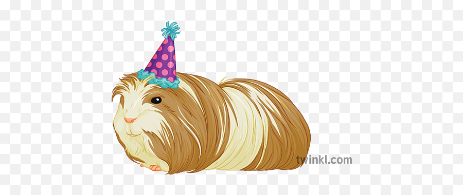Party Piggie General Guinea Pig Birthday Secondary - Birthday Png,Guinea Pig Icon
