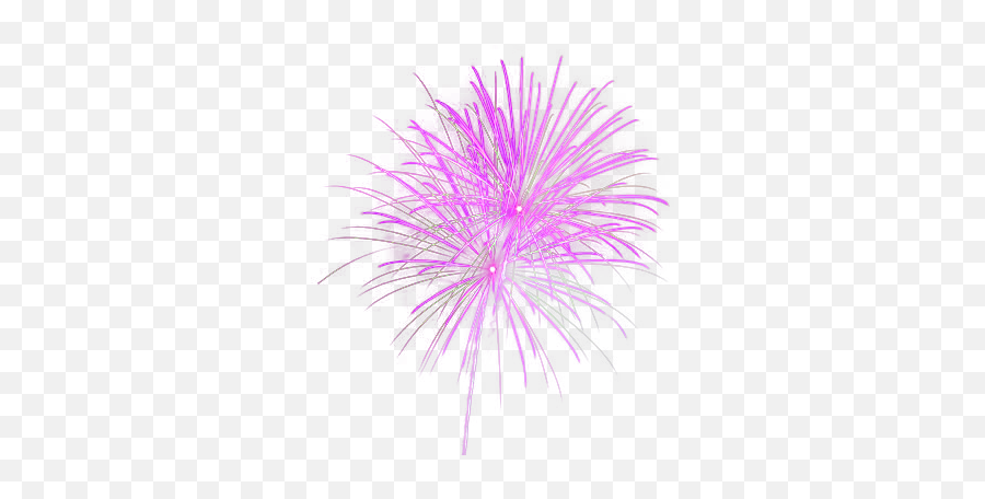 Fireworks Png Images Free Download - Pink Fireworks Transparent Background,Fireworks Transparent Background