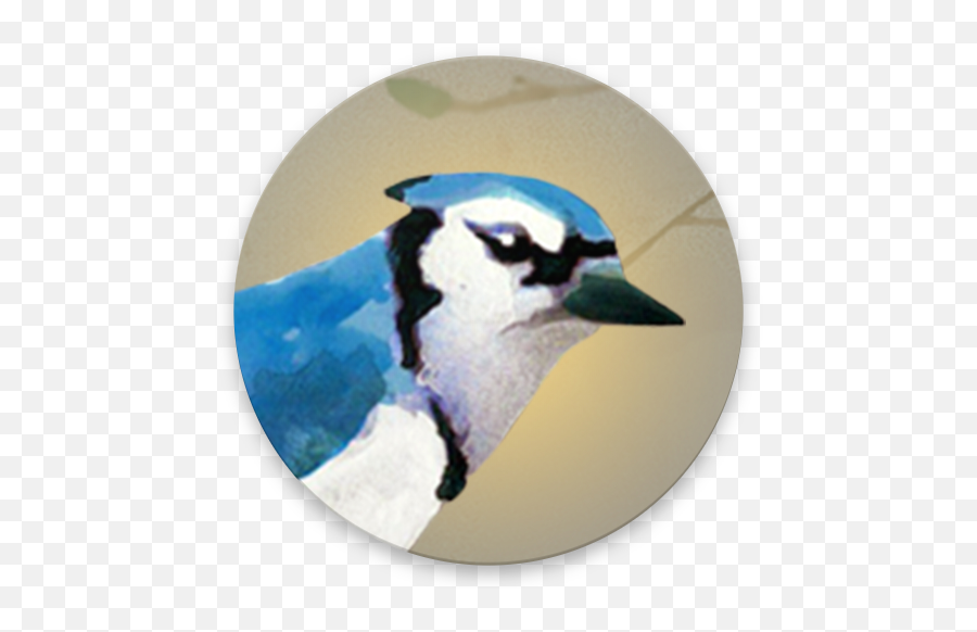 Dawn Chorus - Apps On Google Play Blue Jay Png,Hxh Icon