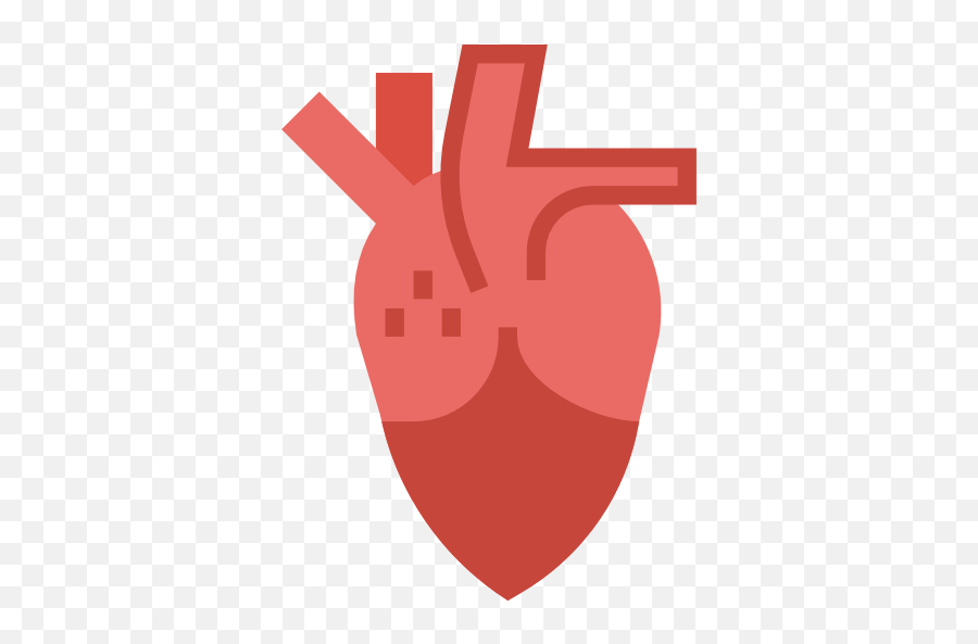 Heart - Free Medical Icons Png,Cardiovascular Icon