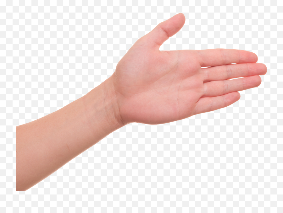 Hand - Palm Of Hand Png,Hand Palm Png