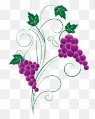 Grape Clipart Png Image - Clip Art Grapes Transparent Png,Grapes Png