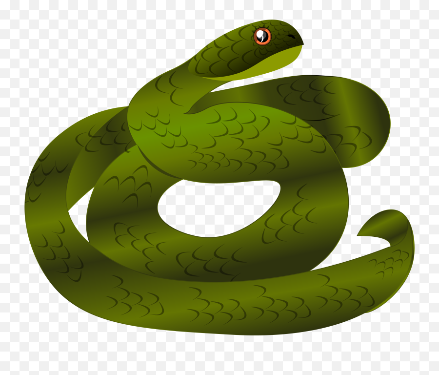 Download Hd A Snake Icon Designed - Serpent Smooth Greensnake Png,Serpent Png