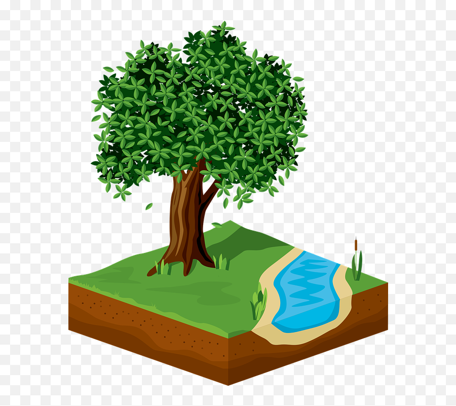 Tree Green Foliage - Free Vector Graphic On Pixabay River 3d Png,Foliage Png