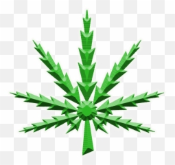 Download Hd The Gallery For U003e Pot Leaf Png Transparent - Curarse De La Marihuana