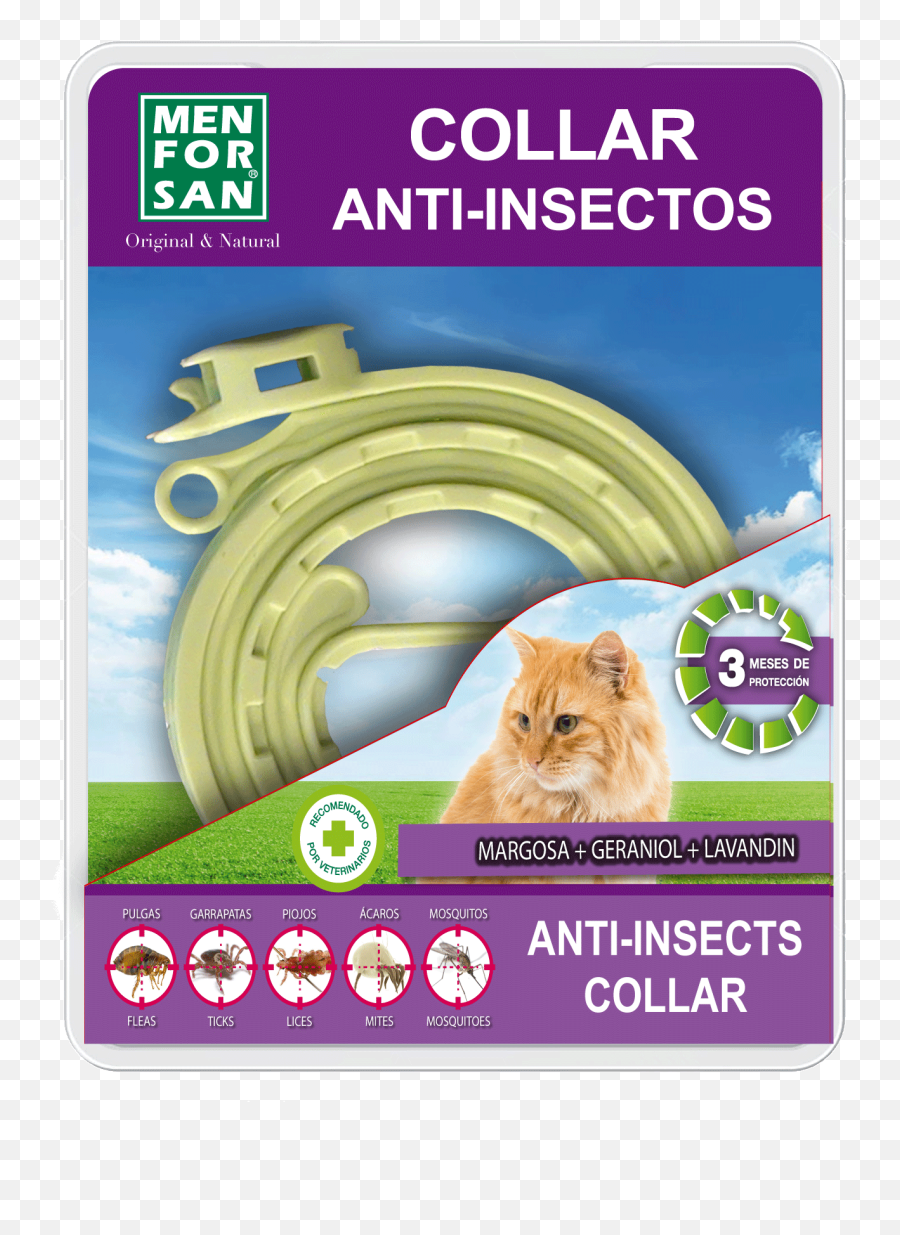 Insect Repellent Collar For Cats - Collar Men For San Png,Cat Whiskers Png