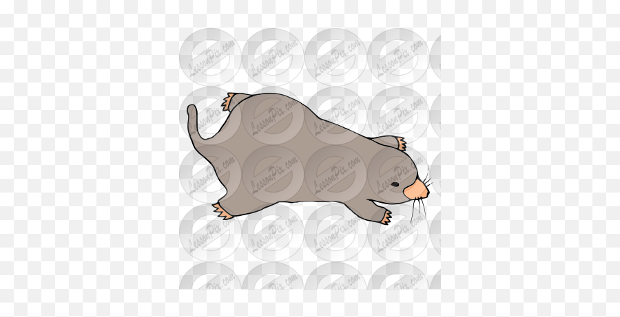 Mole Picture For Classroom Therapy Use - Great Mole Clipart Cartoon Png,Mole Png