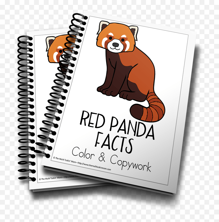 Red Panda Color And Copywork - The Multi Taskinu0027 Mom Jonah And The Whale Mini Book Png,Red Panda Png