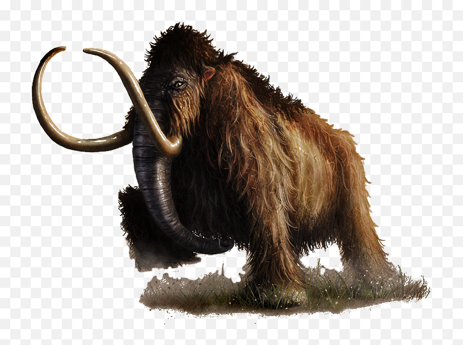 5e Mammoth Png Image - Mammoth Transprent Backround,Mammoth Png