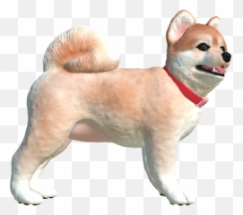 P3din - Pomeranian Dog Supply Png,Pomeranian Png