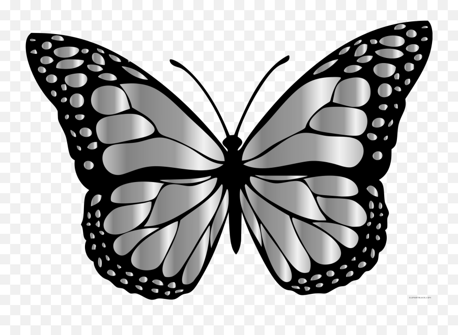 Download Monarch Butterfly Clipart Black And White - Insects Monarch Butterfly Clipart Png,Butterfly Clipart Png