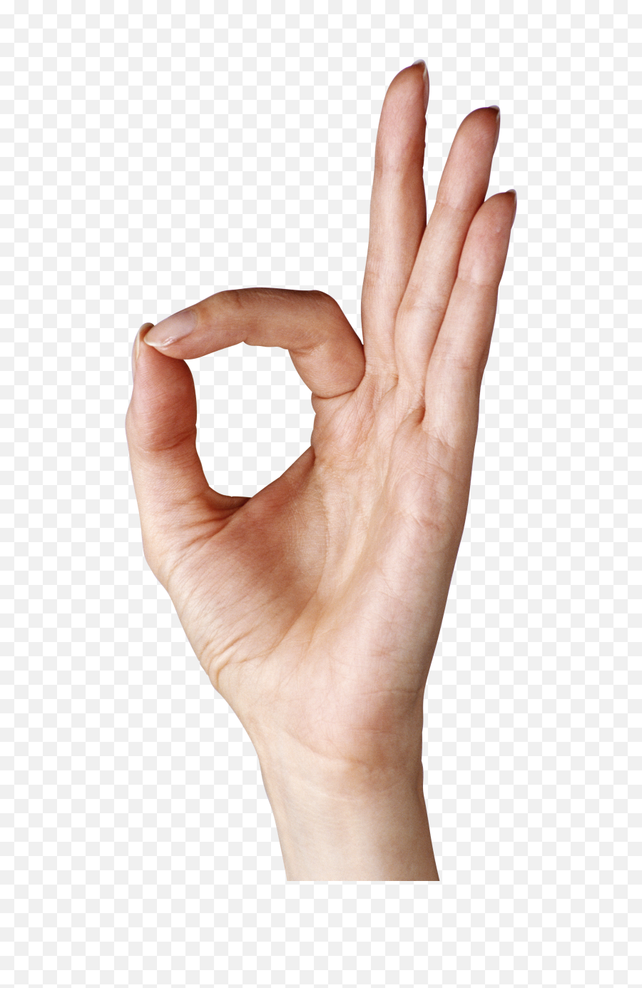 Hand Png Transparent - Ok Hand Sign Transparent Background,Hand Transparent Png