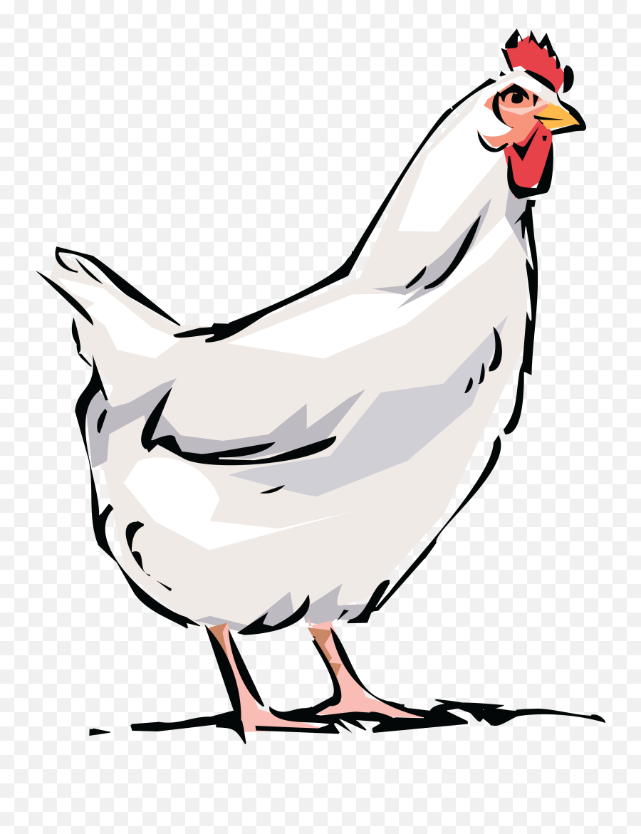 Hen Png - Free Clipart Of White Hen White Chicken Cartoon Chicken Clipart Transparent Background,Chicken Png