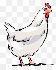 Hen Png - Free Clipart Of White Hen Chicken Cartoon Transparent Background