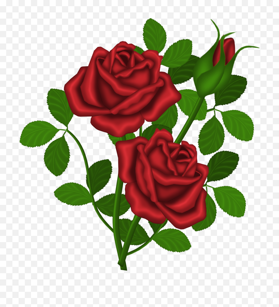 Download Hd Rose Bush Clipart Dozen Red Roses - Roses Clipart Roses Png,Red Rose Transparent