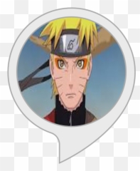 Amazoncom Naruto Facts Alexa Skills - True png