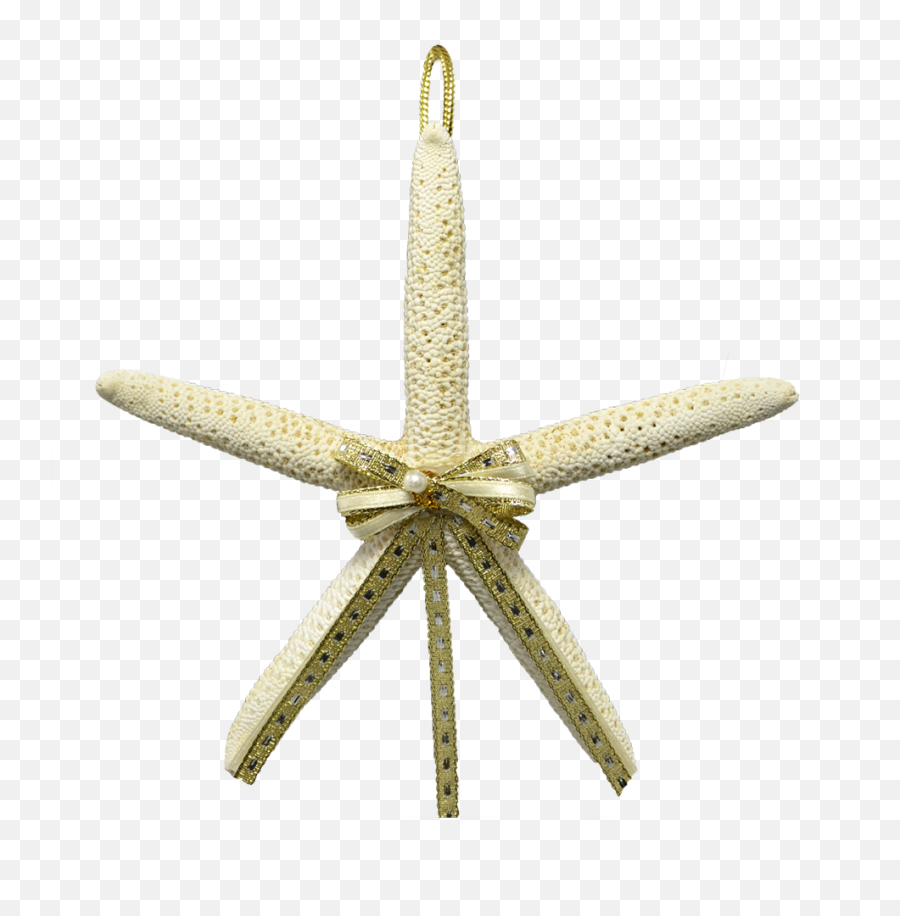 White Finger Starfish Ornament 4 - 5 Png,Christmas Ornaments Png