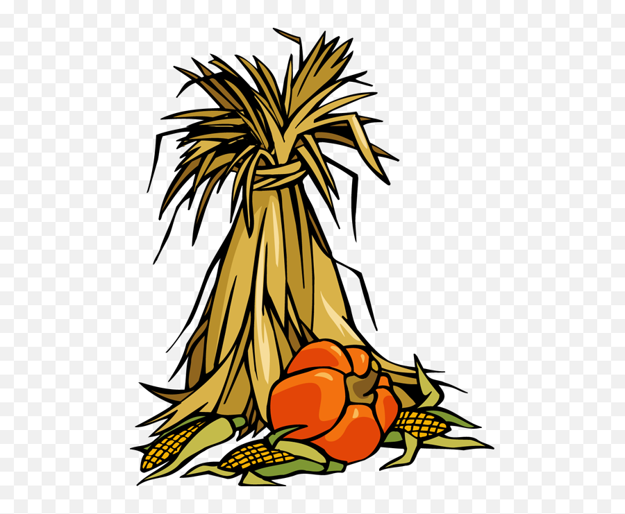 Corn Stalk Bundle Png Transparent - Fall Corn Stalks Clipart,Corn Clipart Png