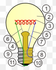 Polarità Lampadine Led - Bulb Diagram png