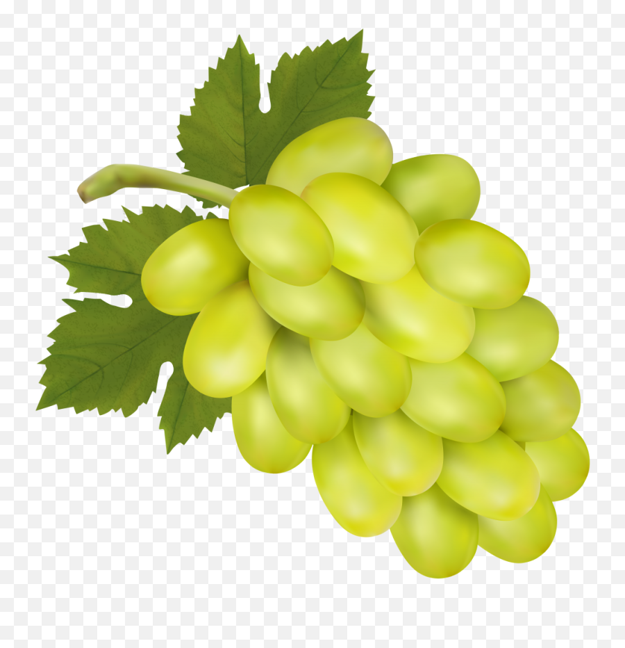 Free Png Grapes