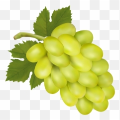Free Png Grapes