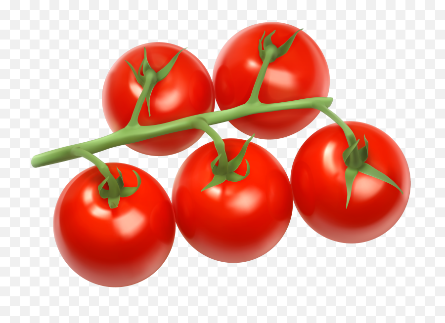 Tomatoes Branch Png Clipart - Tomatoes Clipart Transparent Tomatoes Png Clipart,Tomato Slice Png