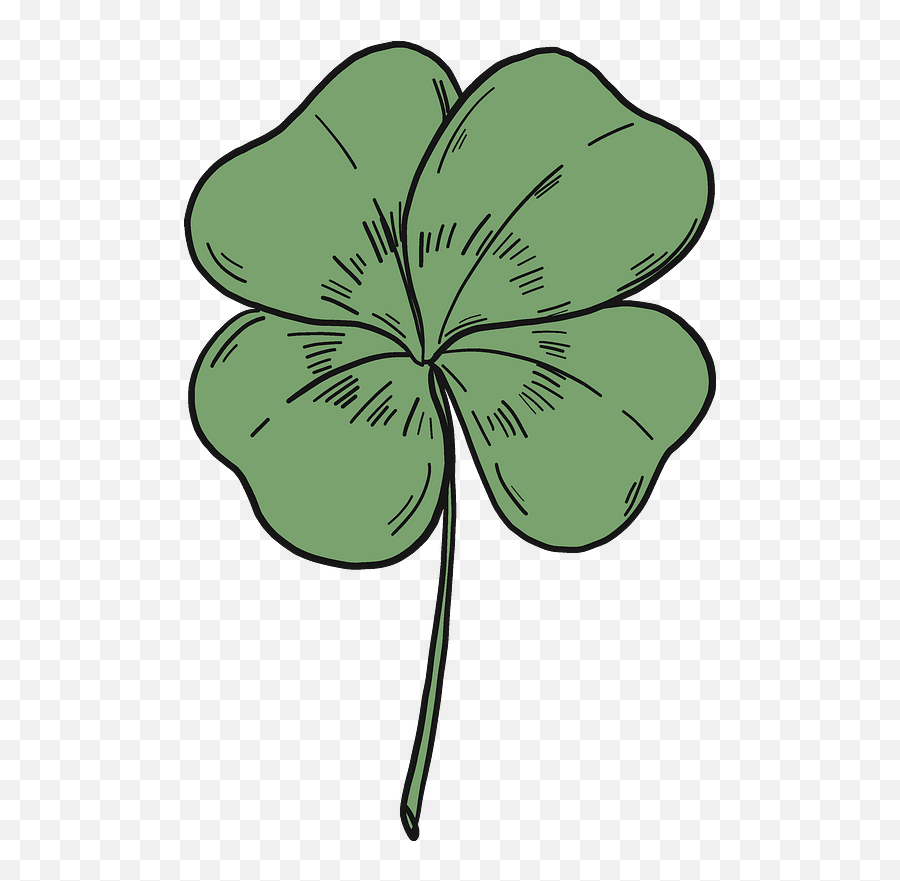 4 Leaf Clover Clipart Free Download Transparent Png - Gilliflower,4 Leaf Clover Png