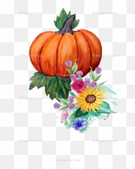 Watercolor Fall Floral Wallpaper - Watercolor Pumpkin Png Transparent,Pumpkins Png