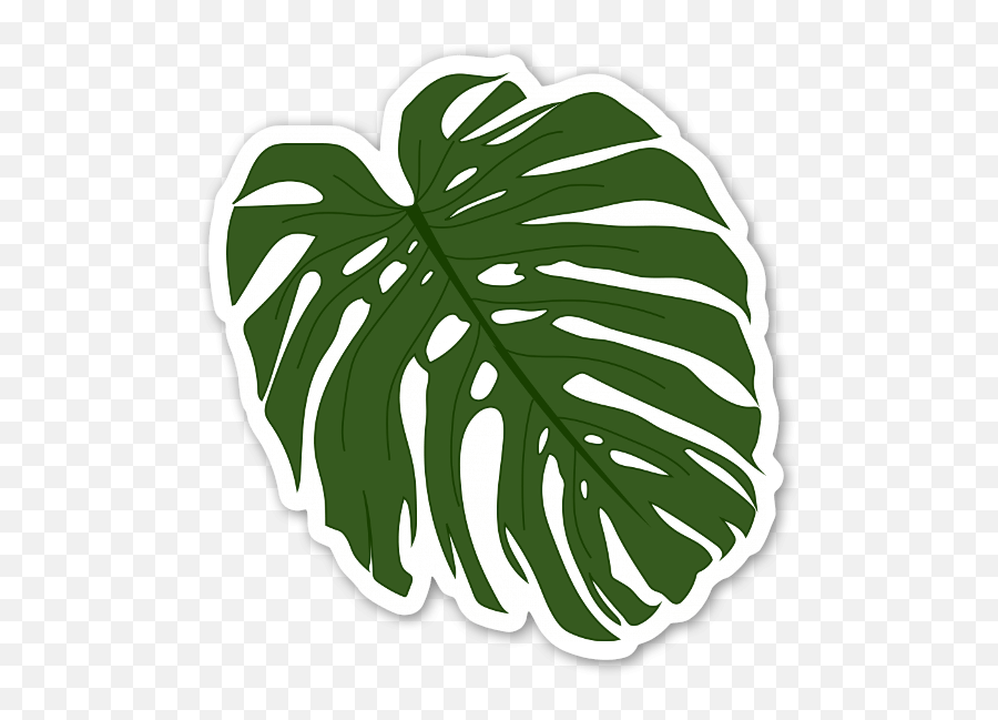 Palm Leaf Sticker - Monstera Sticker Png,Monstera Leaf Png